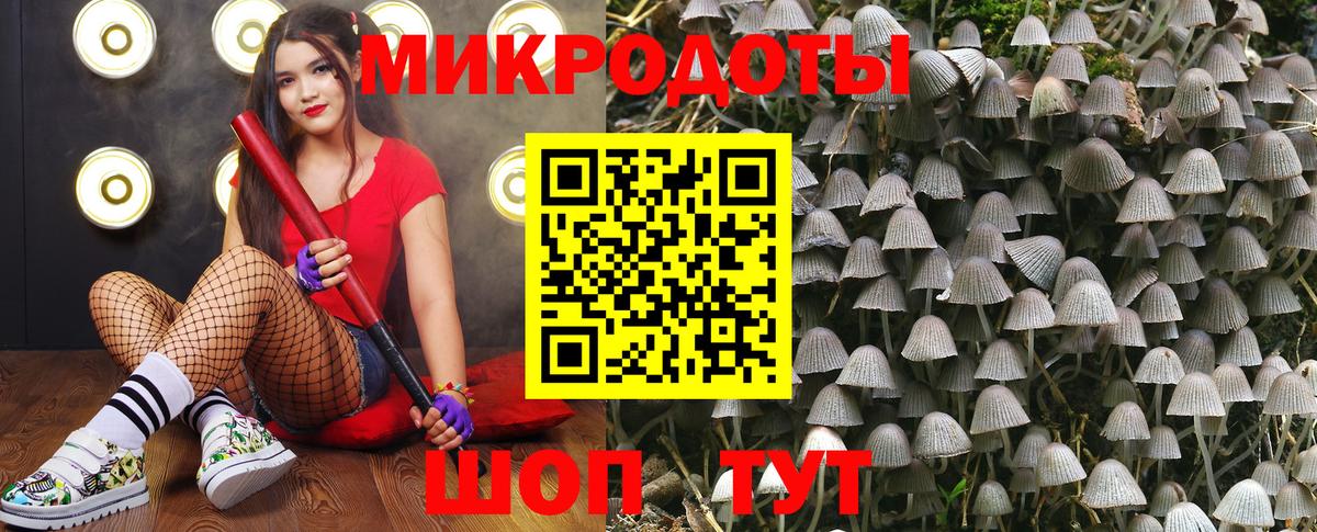 Кропоткин  Галлюциногенные грибы Psilocybine cubensis  Вход с VPN 