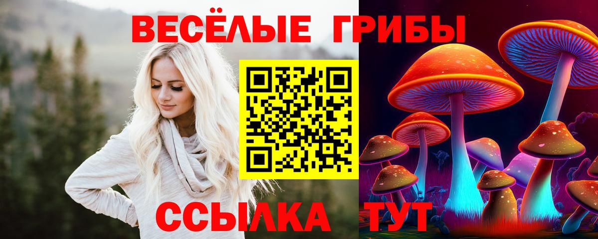 Галлюциногенные грибы Psilocybine cubensis Кропоткин